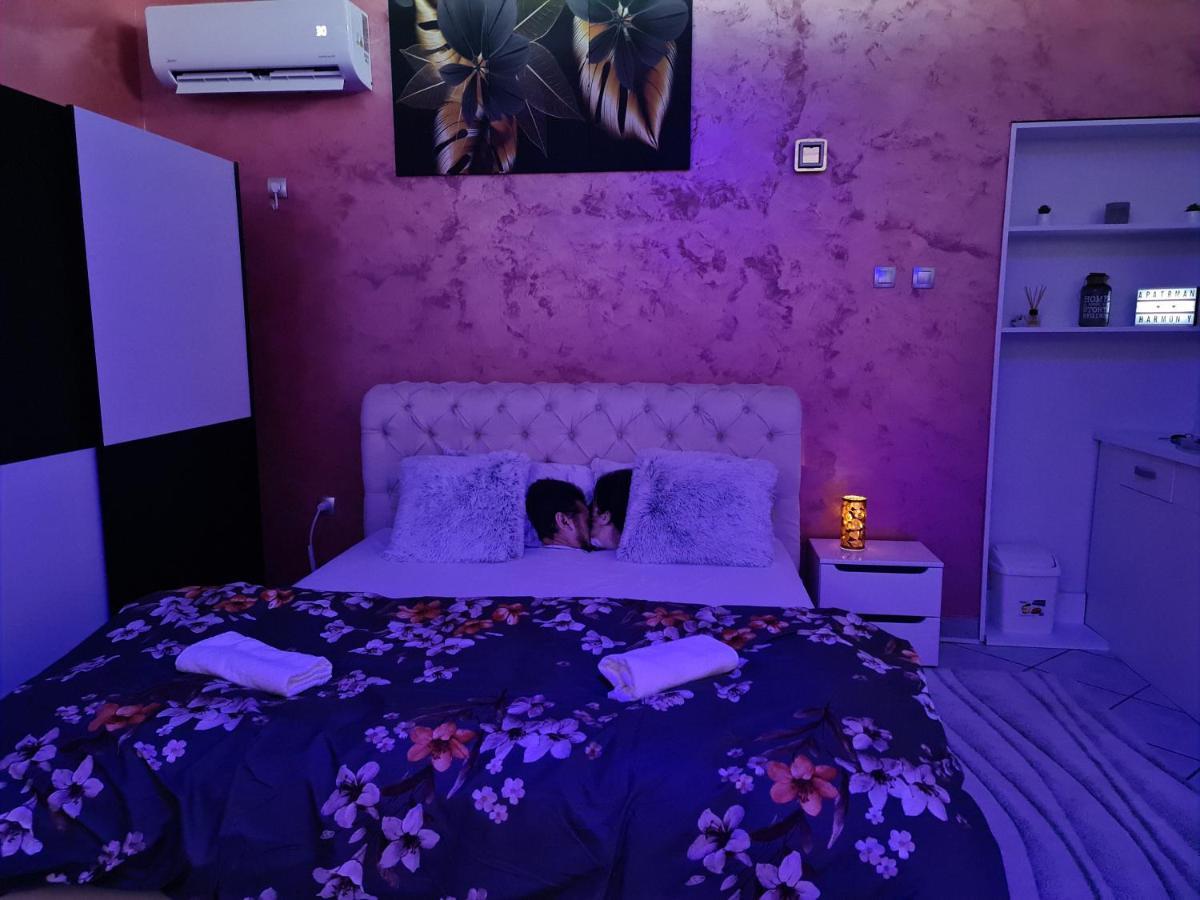 Apartman -Harmony- Paracin Luaran gambar