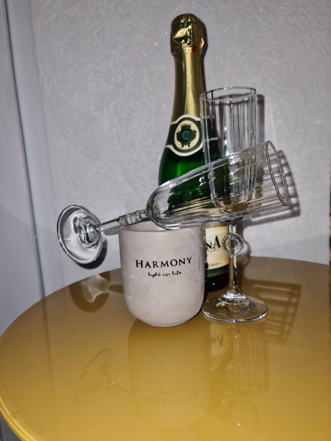 Apartman -Harmony- Paracin Luaran gambar